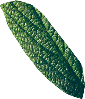 home-5-slider-image-5a